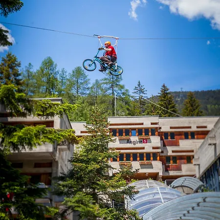 Sport - Fiescher Fiesch